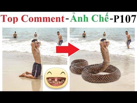 Top Comment 😂 Ảnh Chế (P 107) Funny Photo, Photoshop Troll, Funny  Pictures, Funniest Photoshop Fail - video hài 